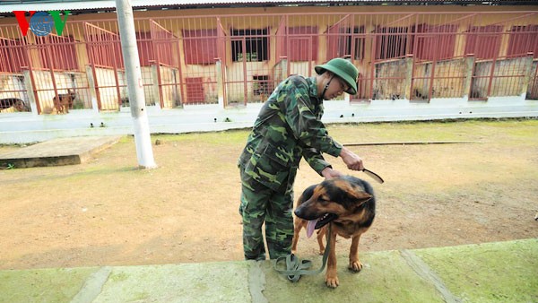 Chăm sóc chó, chải lông, bắt rận, tắm rửa là công việc thường ngày của các huấn luyện viên, họ như những người bạn thân thiết